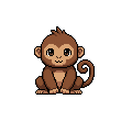 curious_monkey