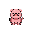 dainty_pig